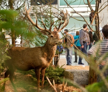 Top Trade Show Tips for Hunting Outfitters